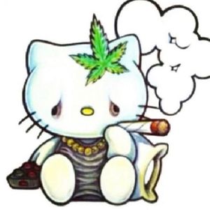 Meet your Posher, Tony